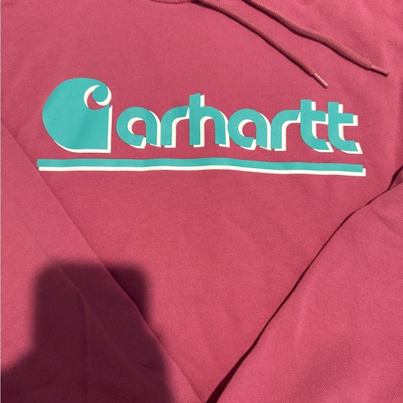 Carhartt Women’s Tencel Fiber Series Loose Fit Graphic Hooded Sweatshirt - Picture 2 of 5